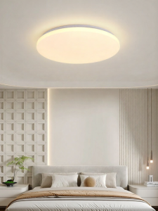 DGY | Creamy Nordic Minimalist Round Ceiling Light