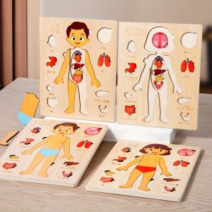 Montessori Human Body Puzzle for Kids Discover Anatomy Educational Wooden Toy Promoting Body Organ Awareness and Learning Fun