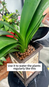 Plant Nutrient Solution 500Ml Stimulates Flowering High Yield Heavy Fruiting For Large Farm Organic Fertilizer For Plantations