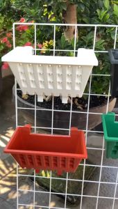 Pot Tanaman Merambat Plastik Gantung Tempel ARGO 01 Warna Warni 22cm - ARGO 01 WARNA