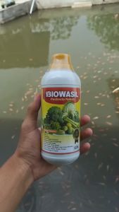 BIOWASIL PESTISIDA NABATI 500ML Obat Semprot Basmi Hama Ulat Grayak Jagung Terbaik - Pupuk Cair Pembasmi hama jagung seperti ulat bibit ulat tanah lundi (uret) penggerek batang ulat grayak wereng dll