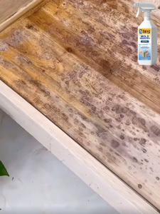 ✨550ml✨Mold remover for wood Mold remover