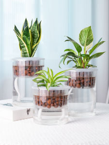 Hydroponic Plant Glass Vase For Home Self-Absorbent Flower Pot Transparent Straight-leg Living Room Hydroponic Special Container for Green Radish