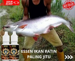 Essen khusus ikan patin liar ampuh harian kolam paling gacor
