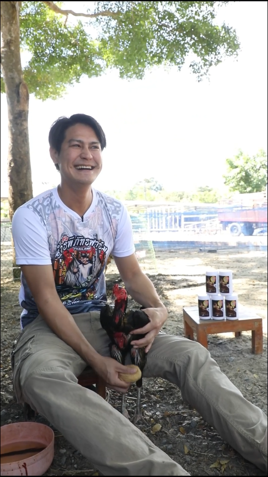 #เซียนไก่ #Whey สายไก่ชน สำหรับไก่นักสู้ จากใจคนเล่นไก่  วิ่งอึด วิ่งทน บินดีไม่มีตก กล้ามเนื้อแน่น
