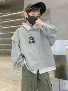 BOBOELEPHANT | Boys Autumn Spring Hoodie Set Two Pieces