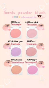odbo iconic powder blush OD1325 โอดีบีโอ ไอโคนิค พาวเดอร์ บลัช