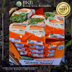 Benih rumput lapangan sepak bola 200gram - biji rumput Bermuda grass 200gram