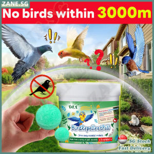 🍀SG stock🍀 5pcs/box Anti Bird repellent for window / Pigeon repellent / Outdoor bird repeller / Bird repellent for balcony