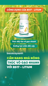 Phân Bón Vô Gạo Nhanh Trổ Thoát Chắc Hạt BS17 Litium 250ml - Giữ Xanh Bộ Lá Đòng - Bác Sĩ Cây Xanh