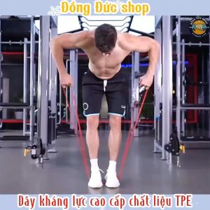 Dây Kháng Lực Chất Liệu TPE - Mức Lực Từ 2.5 KG Đến 115 KG - Hỗ Trợ Tập Gym Tập Thể Dục Tập Thể Lực