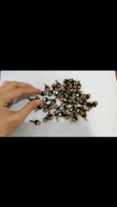 Panduan Penggunaan Screw Atap Berkualitas & Ruping 50pcs