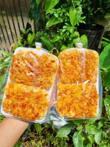 Cơm Nếp Siêu Chà Bông Combo 10 Túi Siêu Giòn ( 150 Gram )🎈