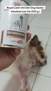 All Stages 410g Royal Canin Renal Wet Dog Food Canned Can Dogs