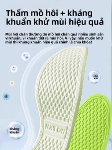 Herb-Aromatic Odor Control Insoles