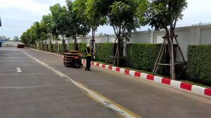 HELI CBD20Y LI 685-1150mm NEW MODEL STACKER PALLET TRUCK รถลากพาเลทระบบไฟฟ้า ทั้งระบบ จัดส่งฟรี รับประกัน1ปี ออกใบกำกับภาษีได้ พร้อมทั้ง18สาขาทั่วไทย