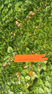 Dress anak anak usia 1-8 tahun II baju anak perempuan lucu II dress rayon anak