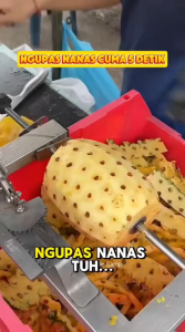 Pembersih Pencabut Biji Nanas Pisau Nanas Buang Mata Pisau Pengupas Nanas Alat Kupas Nanas