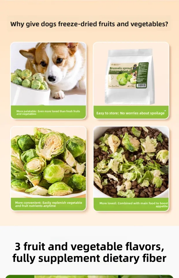 Freeze Dried Fruit Vegetable Snacks For Dogs Tafu Fruits