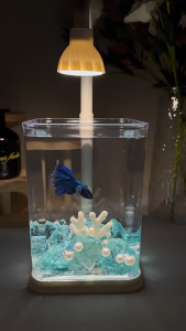 Mini Landscaped Betta Fish Tank Desktop Aquarium Set High-Definition Transparent Glass With LEDLight
