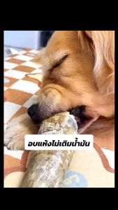 ขนมขัดฟันสัตว์เลี้ยง เขาวัวแท้ อบแห้ง ขนนหมา แพ็คเดี่ยว เต็มเขา มีไซส์ให้เลือก