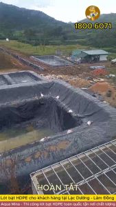 Bạt lót ao hồ 8m x 4m dày 0.3mm bảo hành 5 năm