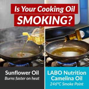 [6 or 12 Bottles] LABO Nutrition Camelina Oil 500ml Healthiest Cooking Oil  Unrefined Virgin Cold Pressed Natural Chemical-Free High Heat Tolerance High Omega-3 • Product of Canada • Free Organic Fiber 6s • Add on or Free Manuka Honey UMF 5+ 250g