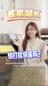 Powerhouse Slim Starter Home Karaoke System+Touchscreen Jukebox KTV System/Karaoke Box - Karaoke Set [SG]