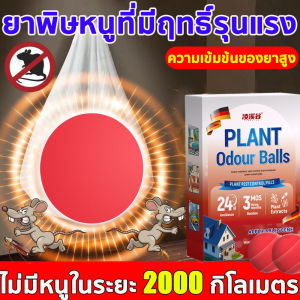 💥มื้อสุดท้ายของหนู💥 ขนมหนูตายแห้ง เหยื่อกำจัดหนู ฆ่าหนูในบ้าน ยาฆ่าหนูในบ้าน ไล่หนู กำจัดหนู เหยื่อหนู สารกำจัดหนู ตายแห้ง หนูยกรัง หนู แรงๆ สะตอมยาเบื่อหนู เหยื่อดักหนู ฆ่าหนูใน5วินาท