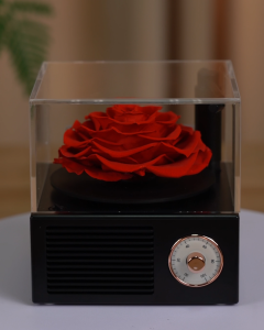 【Local Seller】Gramophone Music Box Preserved Flower Rose Eternal Flower Bluetooth Speaker Gifts