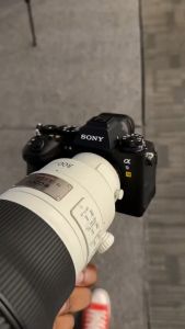 sony fe 300mm f2.8 gm oss