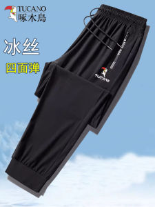 Ice Silk Sports Pants for Men Summer High Elastic Thin Straight Leg Casual Loose Fit Autumn Winter Low Waist Trousers
