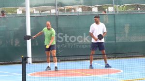 Pickleball Bat Paddle Graphite - Hana S500 (Honeycomb Core) + Zipper Bag (USAPA Approved)