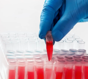 หลอดทดลอง1.5ml หลอดทดลอง 500 ชิ้น ต่อแพ็ค สําหรับห้องทดลอง โรงเรียน สำหรับใช้ทดสอบต่างๆ ทดสอบน้ำ ทดสอบการเปลี่ยนสี