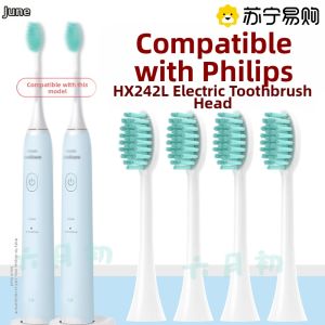 Philips Electric Toothbrush Head HX2422/HX242L Replacement Brush Head Deep Cleaning Adult Normal Specification Oral Care