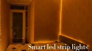 LED RGB Strip Light SMD 3528 24keys Remote Control 5M Control 12V Power Adapter Tape Christmas Decor Lights Lamp