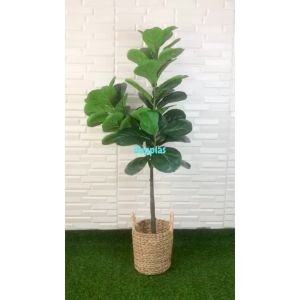 Pohon Artificial Tanaman Hias Ketapang X3 T140 Latex Cover Pot Eceng Gondok Handle M Dekorasi Ruang Tamu Aesthetic