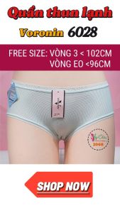 Quần lót nữ thun lạnh không viền Voronin 2068Quần chíp thun lạnh nữ trơn thông hơi thoáng khí  nhẹ nhàng đáy cotton