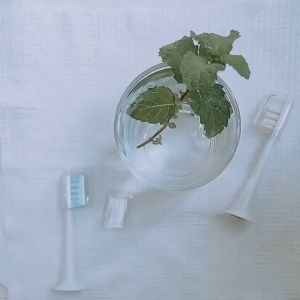 Refill ToothBrush HeadBrush Kepala Sikat Gigi MI T300 T500 T700 OEM