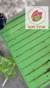 Paint Remover - Dung dịch xoá sơn 5M (1 chai - 350ml)