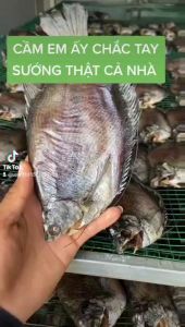 Khô cá sặc rằn U Minh Cà Mau 500gr ( 5 con/500gr)-hương vị cá đậm dà thịt mềm