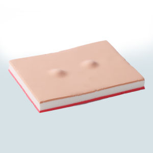 PANCKOO Stimulating Eruptional Training Pad for Sebum Excretion Mucinils - Realistic Medical Practice Model with White Labeled Mucinils and Red Accents Ideal for Science Education and Patient Education Science Education Tool|Realistic Medical Practice|D