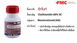 อิกไนท์ โคลไทอะนิดิน ยกลัง (ขนาด 50 ซีซีX12 ขวด) กำจัดเพลี้ย เพลี้ยไฟ 1 ขวดใช้ได้ 8 - 10 ไร่