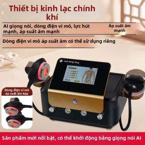 JUJIASHOU | Máy Liệu Pháp Sinh Học Điện Meridian Gua Sha Cupping DDS
