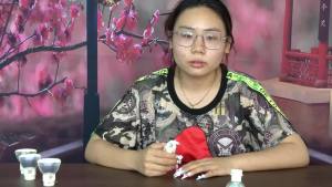 Hot selling 2024 projector light bulb MAILEPU brand P-VIP 230W/0.8 E20.8 suit for Infocus Sanyo projectors