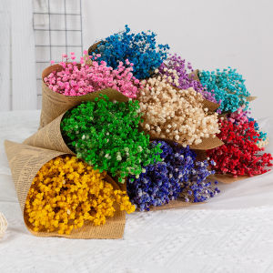 Babys Breath 20g Gypsophila: A Complete Guide to Furniture Decoration & Photography Backdrop Accessories