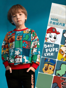 Paw Patrol | Stylish Fall Childrens Hoodie