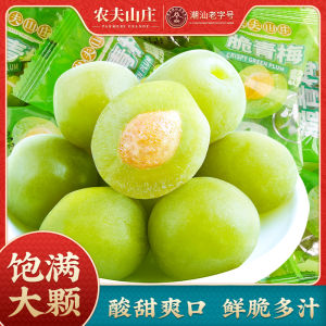Nongfu Villa Crisp Plum 0 Sugar Honey Flavored Sweet and Sour Crisp Mouth Burst Juice Fresh Large Individually Packaged Snacks
