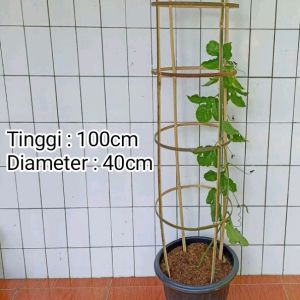 Turus Penyangga Tanaman/Turus Bambu Melingkar/Ajir Lingkaran Ring Bambu