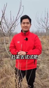 1Liter (1000g) Glufosinate Ammonium Salt 11% 速草霸精草铵膦铵盐安磷除草剂牛筋草烂根剂正品 Weed killer It can kill枯草剂